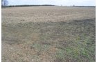 Property photo 82 - 98+/- Acres Offered in 6 Tracts or Combinations, Noble County, Indiana Farm